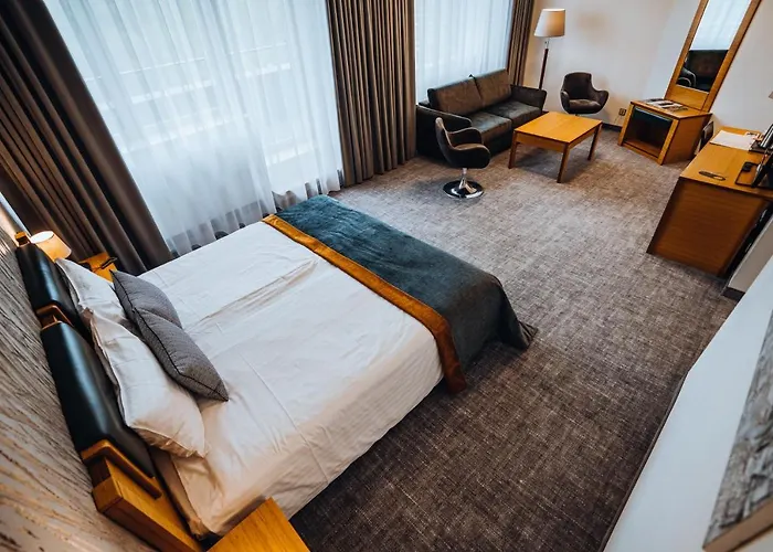 Gabija & Conferences 4* بالانغا