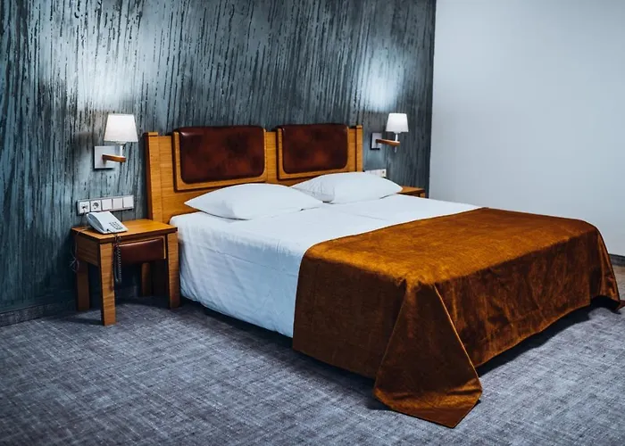 Gabija & Conferences