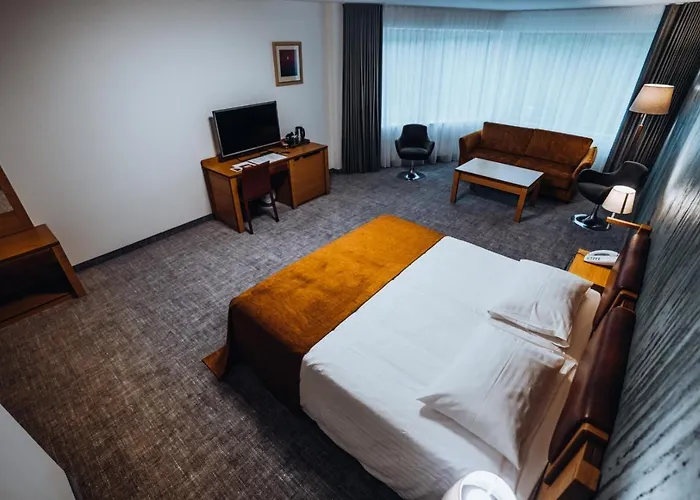 Gabija & Conferences