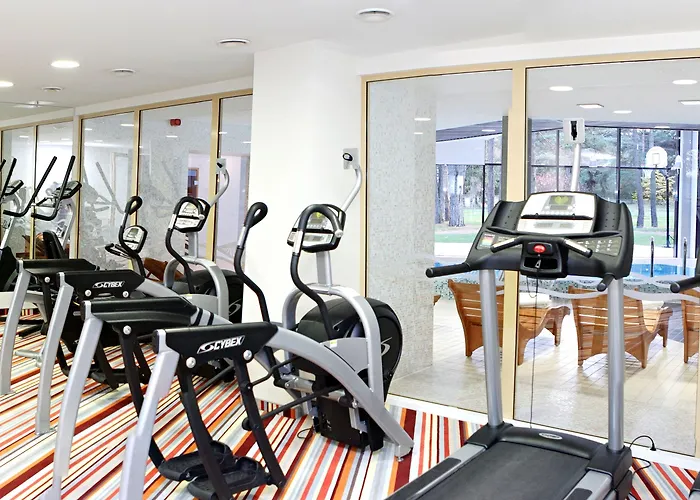 Gabija & Conferences